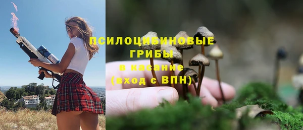 синтетический гашиш Липки