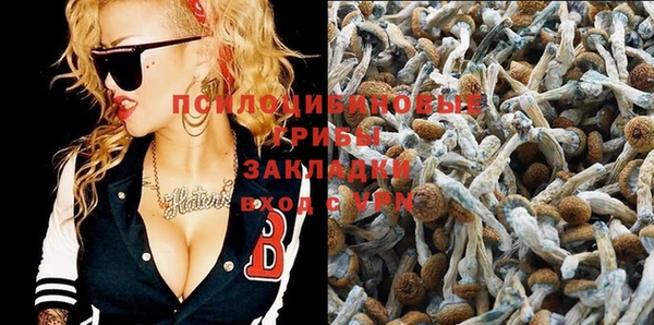 синтетический гашиш Липки