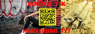 индика Краснознаменск