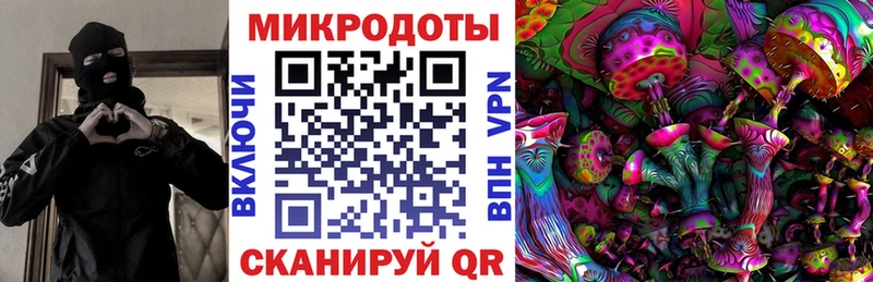Галлюциногенные грибы мицелий  где можно купить   Назрань 
