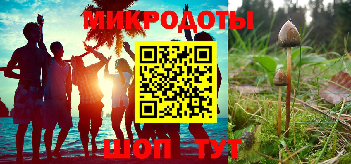 Назрань  Галлюциногенные грибы ЛСД  Псилоцибиновые грибы мицелий  купить  цена  Вход с VPN 