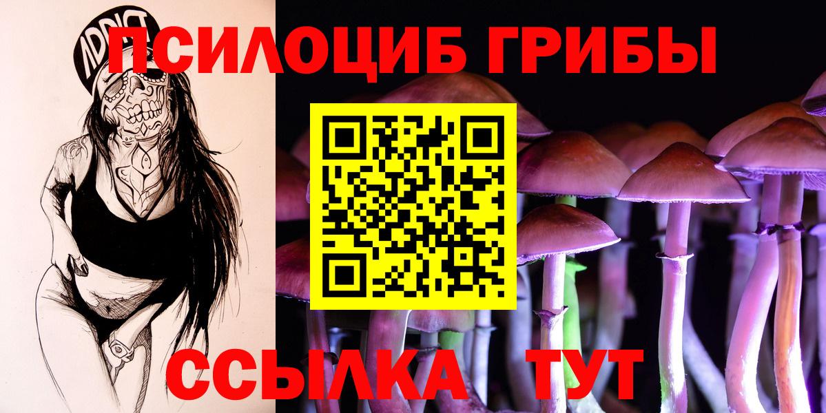 сколько стоит  Назрань  Галлюциногенные грибы MAGIC MUSHROOMS 
